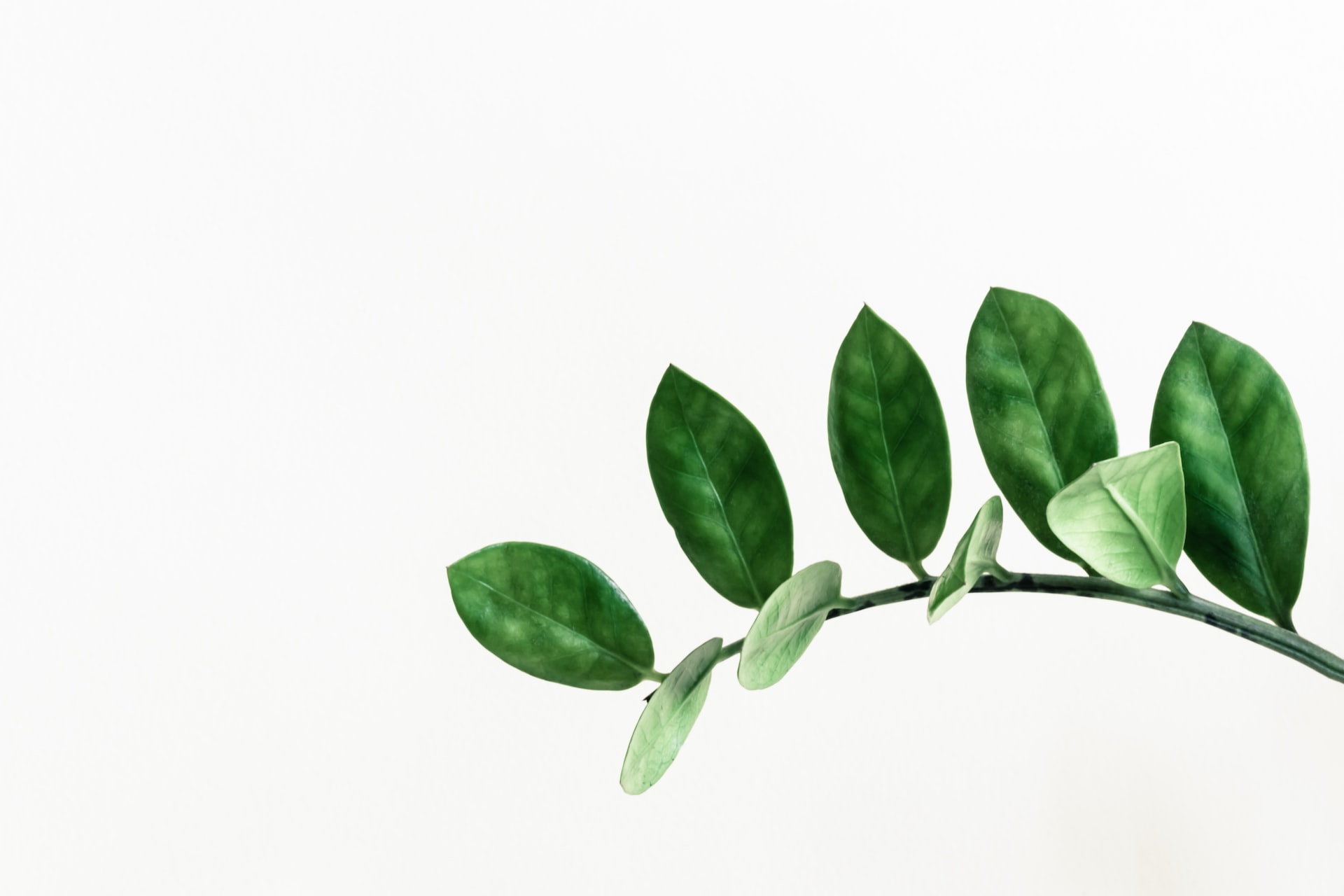 pawel-czerwinski-lWBZ01XRRoI-unsplash
