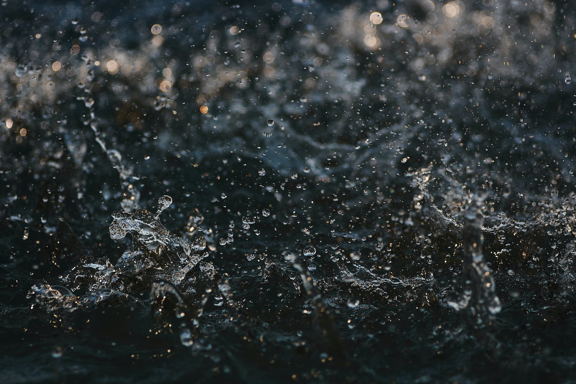 nadiia-ploshchenko-EU0PnbViG74-unsplash