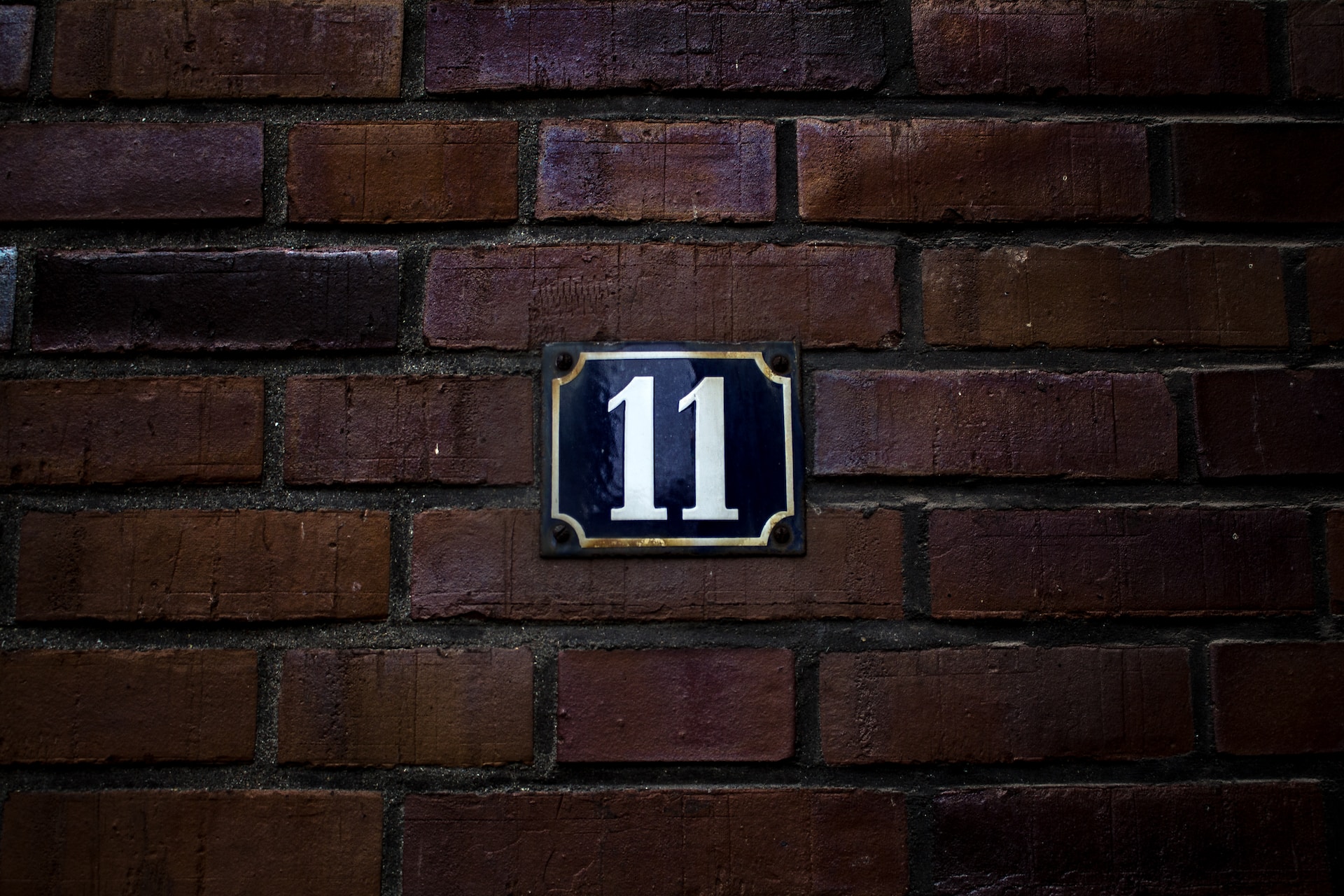 david-monje-eUB_CYMxawE-unsplash