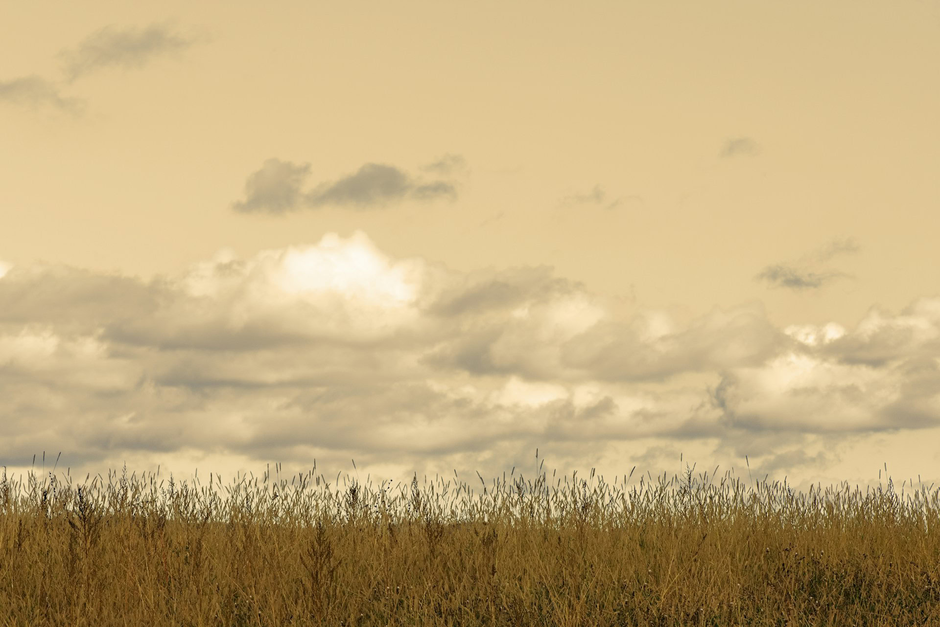 iuliu-illes-ohGG61QQH7Q-unsplash